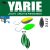 Yarie Jespa YARIE 710T T-FRESH EVO 1.5gr BJ-10 Uesama