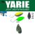 Yarie Jespa YARIE 710T T-FRESH EVO 1.5gr BJ-21 Edamame