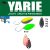 Yarie Jespa YARIE 710T T-FRESH EVO 1.5gr BJ-26 Noriko