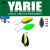 Yarie Jespa YARIE 710T T-FRESH EVO 1.5gr H4 KM Haif