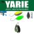 Yarie Jespa YARIE 710T T-FRESH EVO 1.5gr V3 Ayu