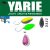 Yarie Jespa YARIE 710T T-FRESH EVO 1.5gr W4 Norinori Pink