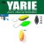 Yarie Jespa YARIE 710T T-FRESH EVO 1.5gr Y53 Lemon/Orange