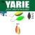 Yarie Jespa YARIE 710T T-FRESH EVO 2.0gr AD21 Uzakin