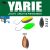 Yarie Jespa YARIE 710T T-FRESH EVO 2.0gr AD24 Oyster