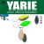 Yarie Jespa YARIE 710T T-FRESH EVO 2.0gr BJ-13 Shigeo
