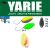 Yarie Jespa YARIE 710T T-FRESH EVO 2.0gr BS-3 First Lemon