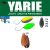 Yarie Jespa YARIE 710T T-FRESH EVO 2.0gr E68 Caramel Gold