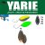 Yarie Jespa YARIE 710T T-FRESH EVO 2.0gr V8 Kanimiso Ikura