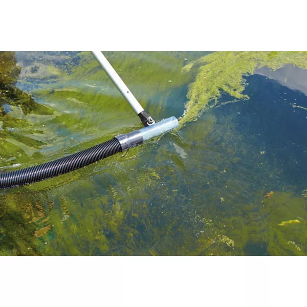 Oase Premium átlátszó hengeres szívófej