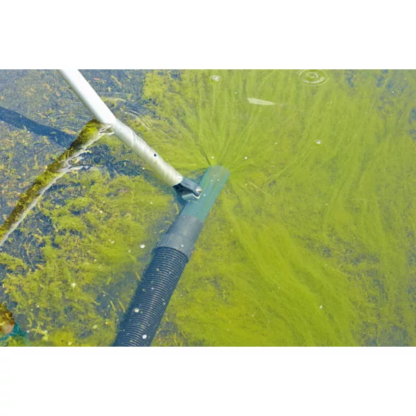 Oase Premium átlátszó hengeres szívófej