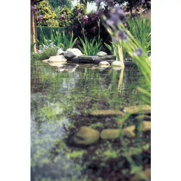 Oase BioSYS Skimmer Plus