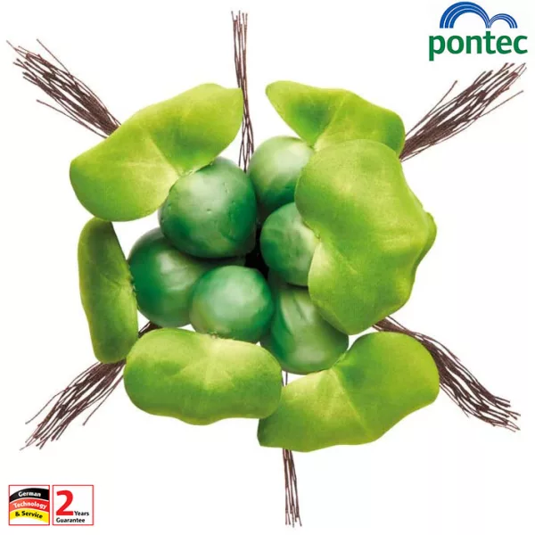 Pontec PondoHyacinth