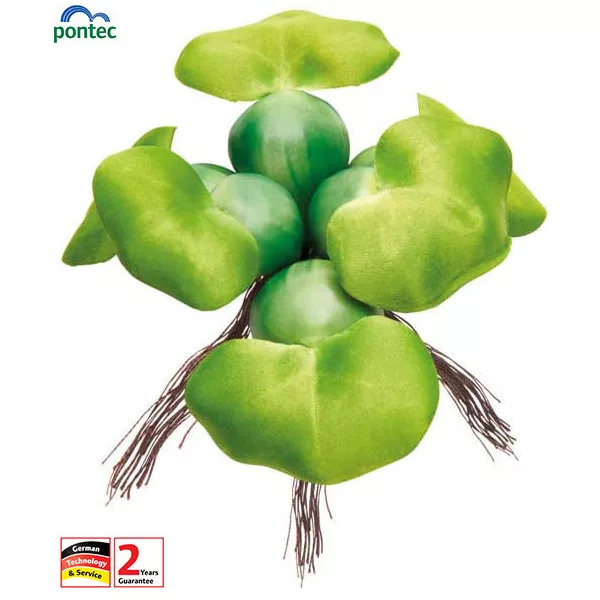 Pontec PondoHyacinth