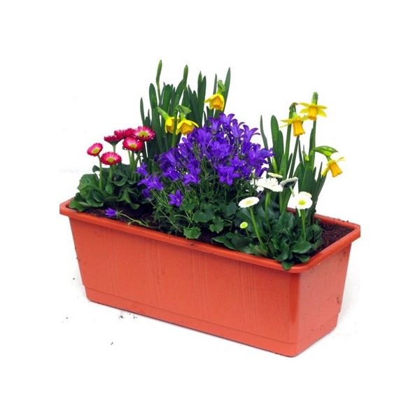 Balkonláda IS600 60cm (IP600)