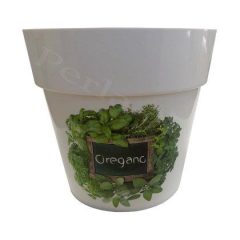 Kaspó DML140H3 (fűszer, oregano, basil)