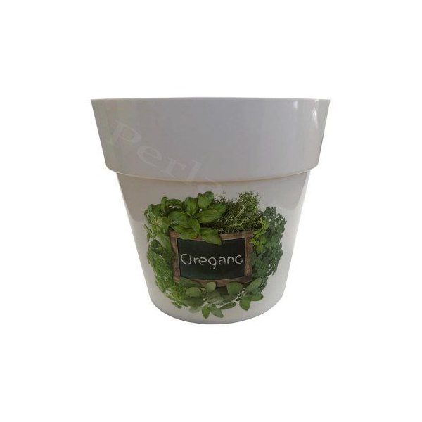 Kaspó DML140H3 (fűszer, oregano, basil)