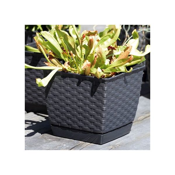 Kaspó rattan 165mm (barna) DRLK165