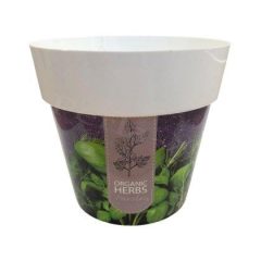 Kaspó DML120H1 (fűszer,sötét)