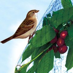 M-400 Madárkár ell.háló M-200 2x5m