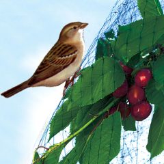 Madárháló 8x10m zöld 120018