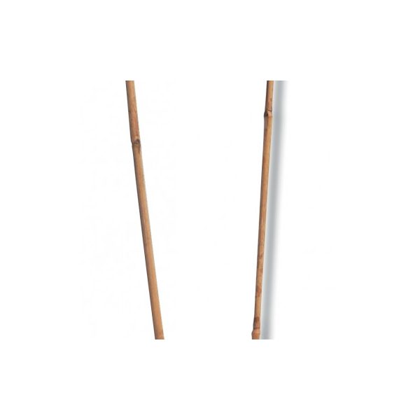 Bambusz karó, ívelt 2m(3db/cs) (2010301) - ár/csomag