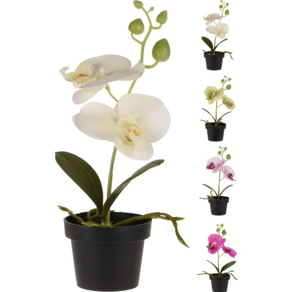 Művirág - Orchidea  cserépben 13X10X25CM (317221100)