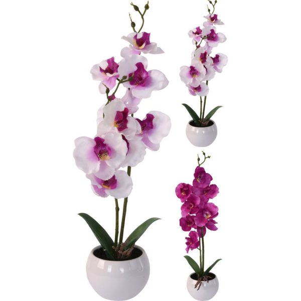 Művirág - Orchidea 11x39cm kerámia kaspóban (317353840)