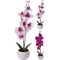 Művirág - Orchidea 11x39cm kerámia kaspóban (317353840)