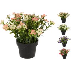 Művirág - cserepes, többfajta 150X150X150MM (317221290)