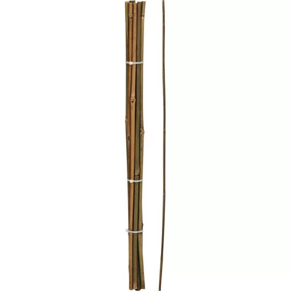 Növény és paradicsomtámasz -60cm - BAMBUSZ 10db/csomag (836610140) - ár/db