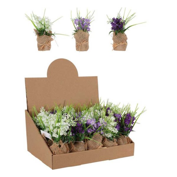 Művirág - Levander 3 színben kaspóban (PL4003090)