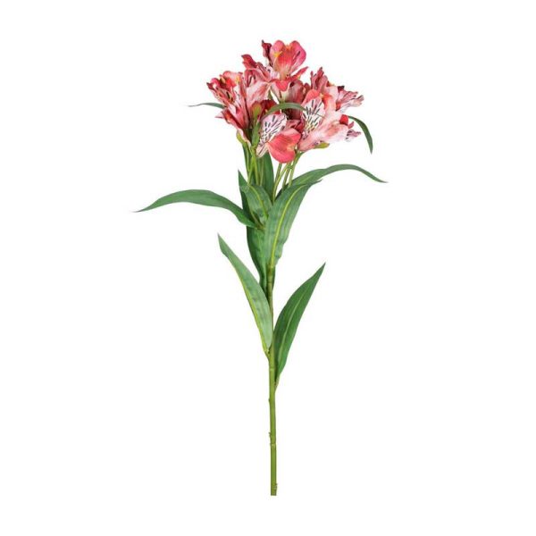 Művirág - Inkaliliom - szálas 80cm (318800330)