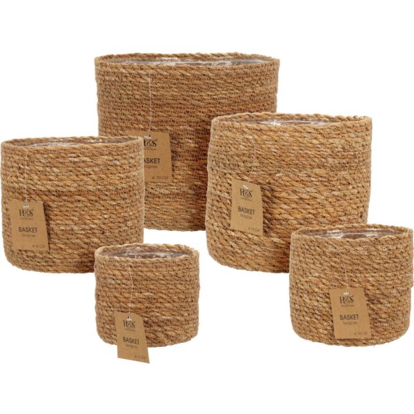 Kaspó szett - tengerifű -fonott 5db/szett (BD3000070)