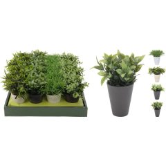   Művirág - Fűszernövények cserépben 130X130X160MM (317002070)