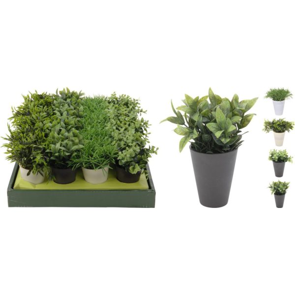 Művirág - Fűszernövények cserépben 130X130X160MM (317002070)