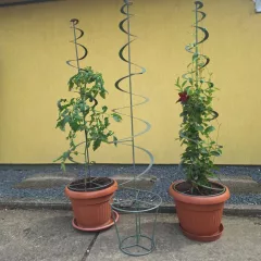 Növényfuttató fém