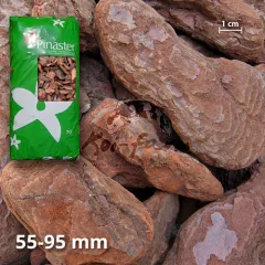 Pinia dekorativ kéreg 55-95 mm