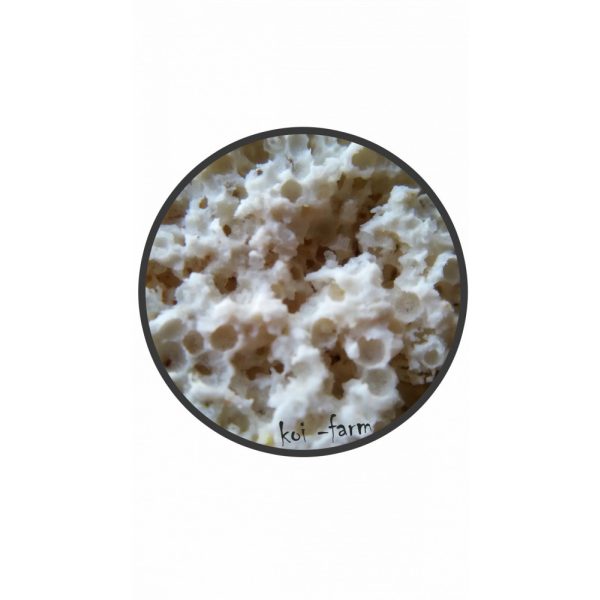 Bacteria Home 10kg- Baktériumok Otthona