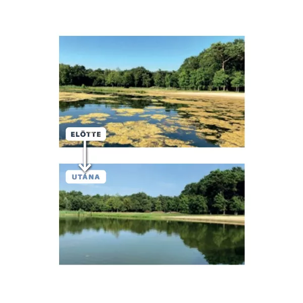 KINGFISHER NanoBuborék generátor