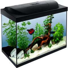   Tetra Starter Line - Akvárium szett fekete LED világítással 80 liter 