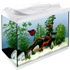   Tetra Starter Line - Akvárium szett fehér LED világítással 54 liter 