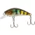 Select Sprint 35SP #22