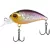 Select Prank 36F 36mm 3.1g #35