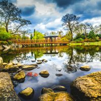 Kerti tó webáruház