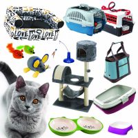 Macska Felszerelés