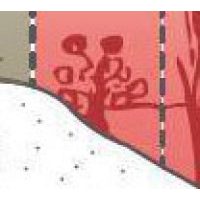 Sekély vízi növények 0 -30 cm