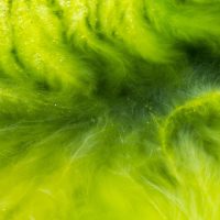 Zöld és fonal egyszerre