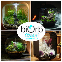 Biorbair terráriumok és floráriumok