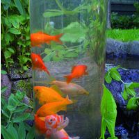 Koi dómok, Koi torony